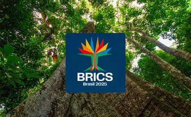 Brasília (DF) 21/12/2024 - Conheça a identidade visual do BRICS Brasil: árvore amazônica traduz objetivos do grupo.
Foto: Secretaria de Comunicação Social/Divulgação