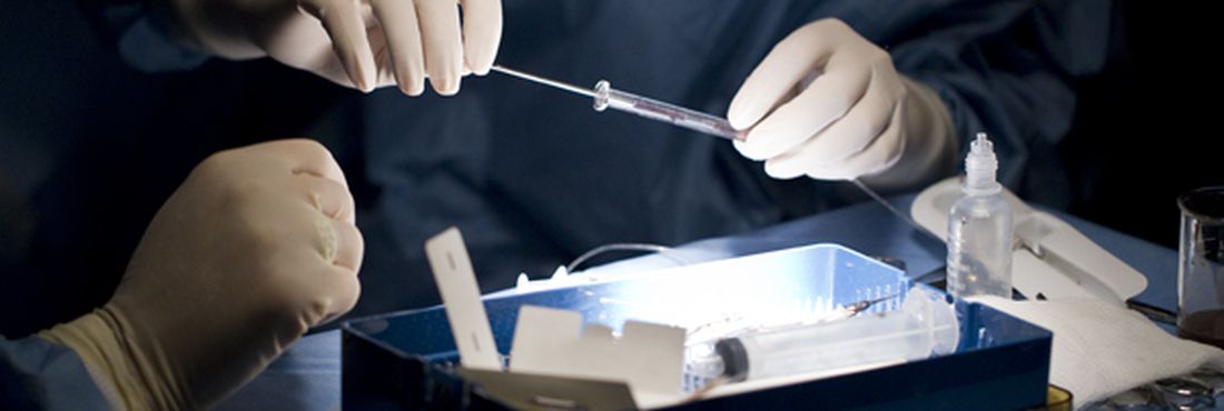 Cientistas realizam procedimento com células-tronco
