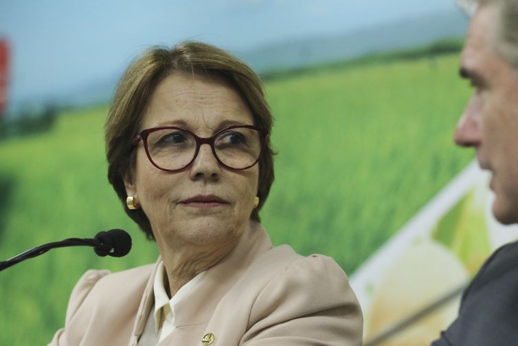 A ministra da Agricultura, Pecuária e Abastecimento, Tereza Cristina, e o secretário de Comércio e Relações Internacionais, embaixador Orlando Leite Ribeiro, falam sobre a viagem de uma comitiva do ministério a quatro países asiáticos.