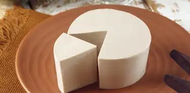 Queijo do coco-babaçu
