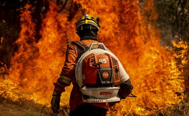 Brasília (DF), 24/08/2024 - Brigadistas do Instituto Brasília Ambiental e Bombeiros do Distrito Federal combatem incêndio em área de cerrado próxima ao aeroporto de Brasília. Foto: Marcelo Camargo/Agência Brasil