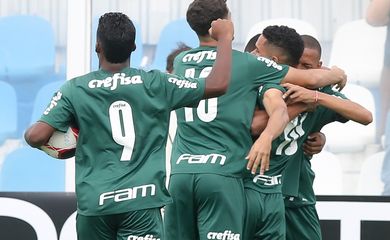 palmeiras, copa são paulo de futebol júnior