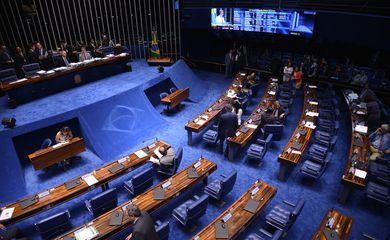 Brasília - Sessão para votação das MP's que trancam a pauta do Plenário do Senado (Fabio Rodrigues Pozzebom/Agência Brasil)