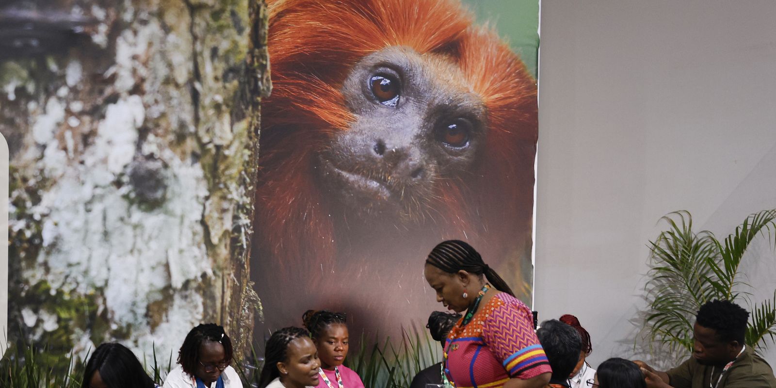 COP30: financiamento, transição e adaptação são centro das negociações