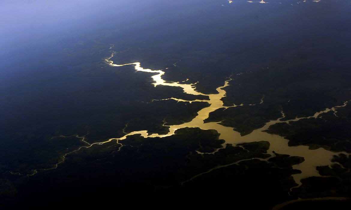 Vista aérea de floresta e rios da Amazônia