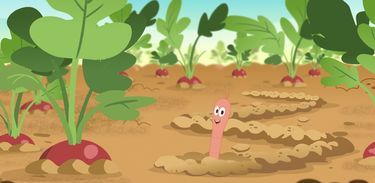 Sabia que as minhocas fazem bem para o solo?