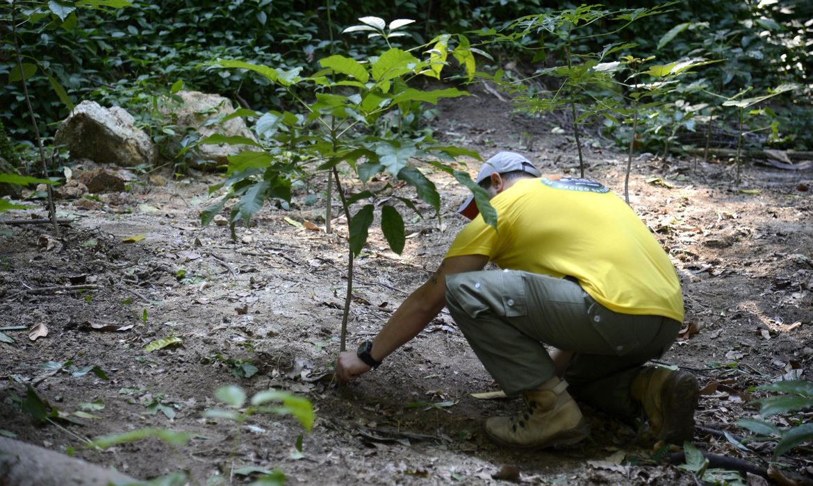 Floresta do Parque Nacional da Tijuca ganha mais 260 mudas de espécies nativas da Mata Atlântica. A ação foi promovida pelos voluntários do Instituto Conhecer para Conservar, do Grupo Cataratas, e de Paineiras Corcovado, no Parque Lage. 