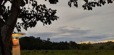 Pesquisa mostra o risco de malária em regiões degradadas da Amazônia