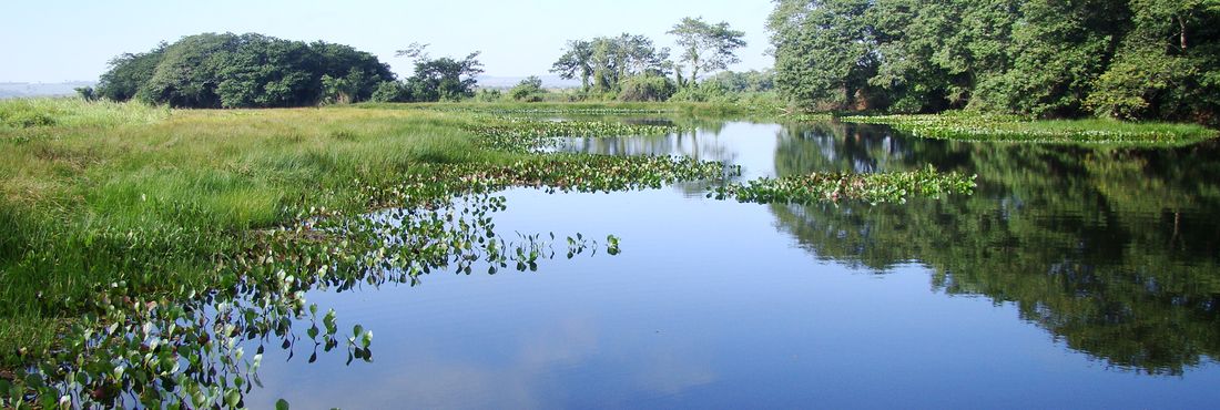 Lagoa Saraiva, uma das mais importantes lagoas do Parque Nacional de Ilha Grande, localizado na divisa dos estados do Paraná e Mato Grosso do Sul