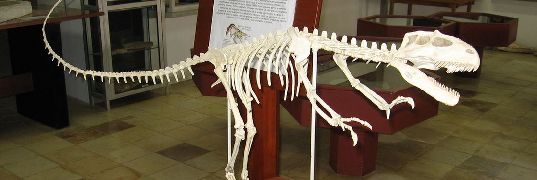 Museu de paleontologia no Ceará