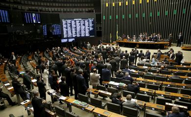 Brasília - Plenário da Câmara vota MP 716/16, que destina R$ 420 milhões para ações de combate à microcefalia e ao mosquito Aedes aegypti, transmissor da dengue, zika e febre chikungunya (Wilson Dias/Agência Brasil)