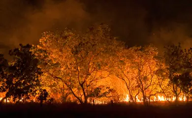 20-02-2024 Queimadas e incêndios em Amajari – Roraima - Foto Jader Souza/AL Roraima