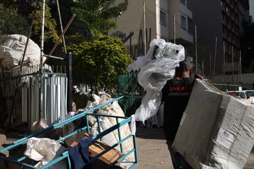  Catadores coletam material para reciclagem na Avenida Nove de Julho, região central.
