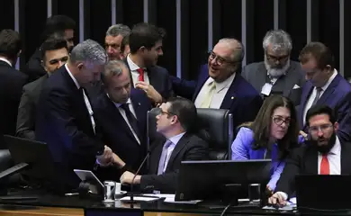 Brasília (DF), 11/06/2025  - Sessão da Câmara dos Deputados  que votou o PL- 4149/04, que aumenta a pena de reclusão pela posse ou porte de arma de fogo de uso proibido (como fuzis)  Foto: Lula Marques/Agência Brasil