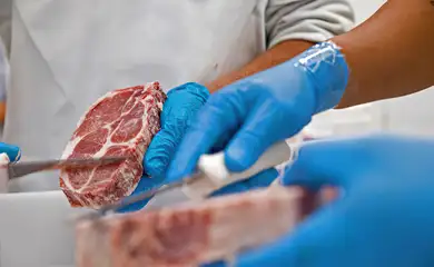 Mais 38 frigoríficos brasileiros já podem exportar carnes à China. Foto: Mapa/iStock