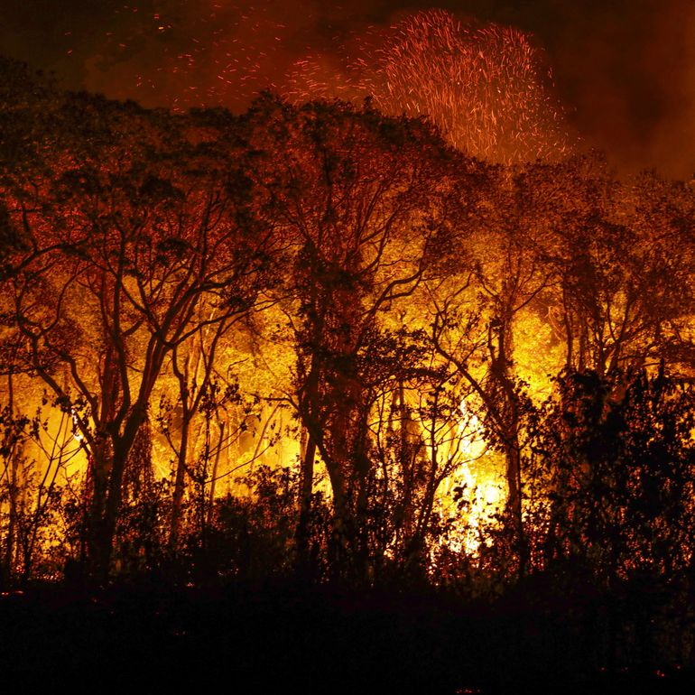 Incêndio Pantanal | Agência Brasil
