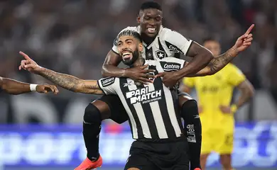 botafogo, peñarol, libertadores