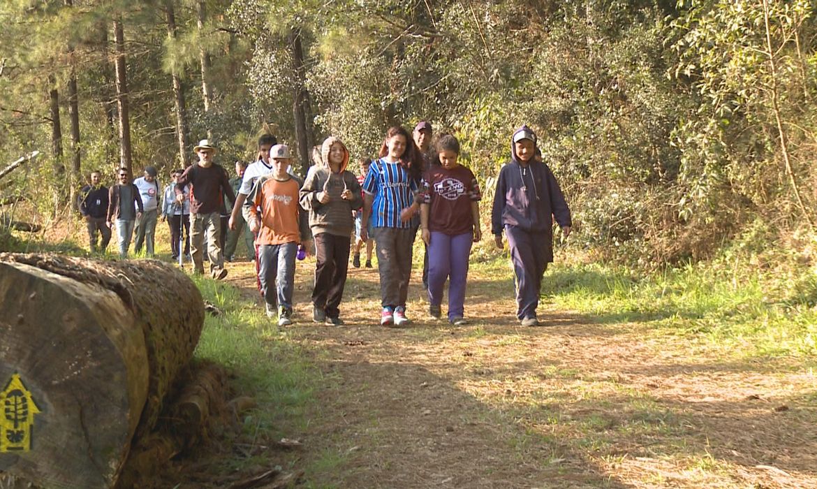 Estudante têm aula na Floresta Nacional de Canela