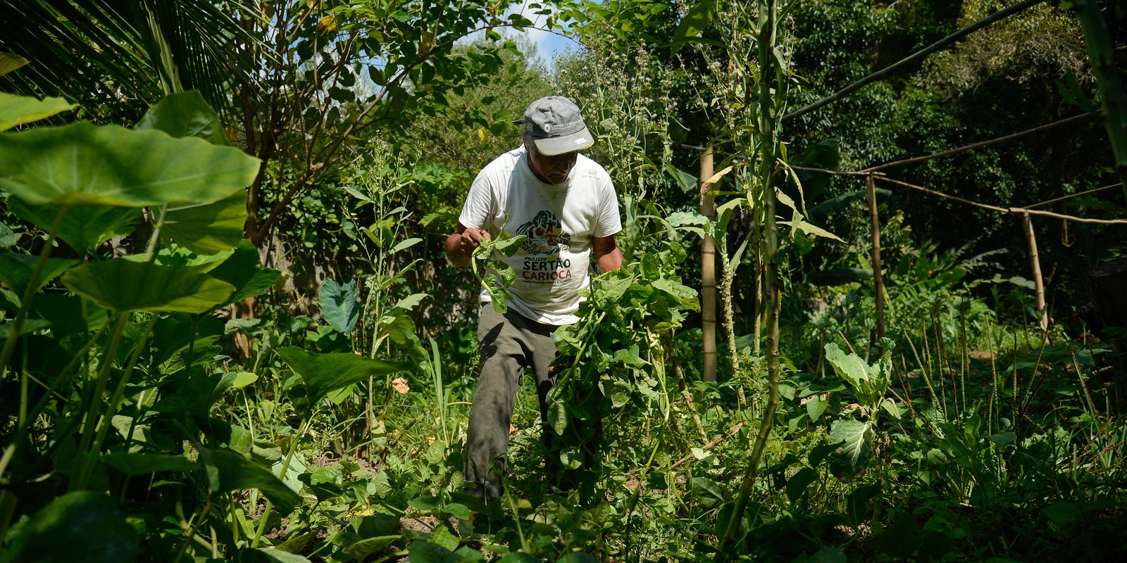 Edital seleciona 36 projetos para fortalecer agricultura familiar Edital seleciona 36 projetos para fortalecer agricultura familiar