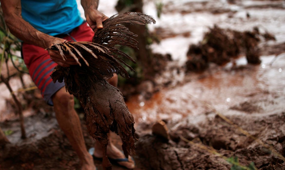 A chicken covered with mud is seen after a dam owned by Brazilian miner Vale SA that burst, in Brumadinho, Brazil January 26, 2019. REUTERS/Adriano Machado