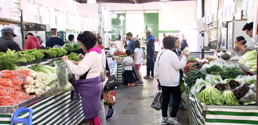 Agro Nacional visita à feira orgânica mais antiga de São Paulo