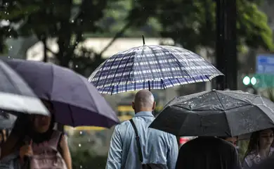 Defesa Civil alerta para tempestades no estado de São Paulo 
