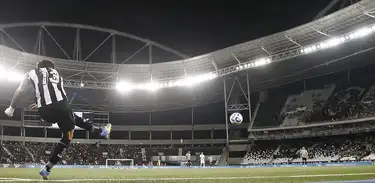 Estádio Nilton Santos