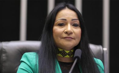 Brasília (DF) 20/06/2024 - Deputada Silvia Waiãpi (PL-AP) tem mandato cassado por gastar verba eleitoral com harmonização facial.
Foto: Câmara dos Deputados