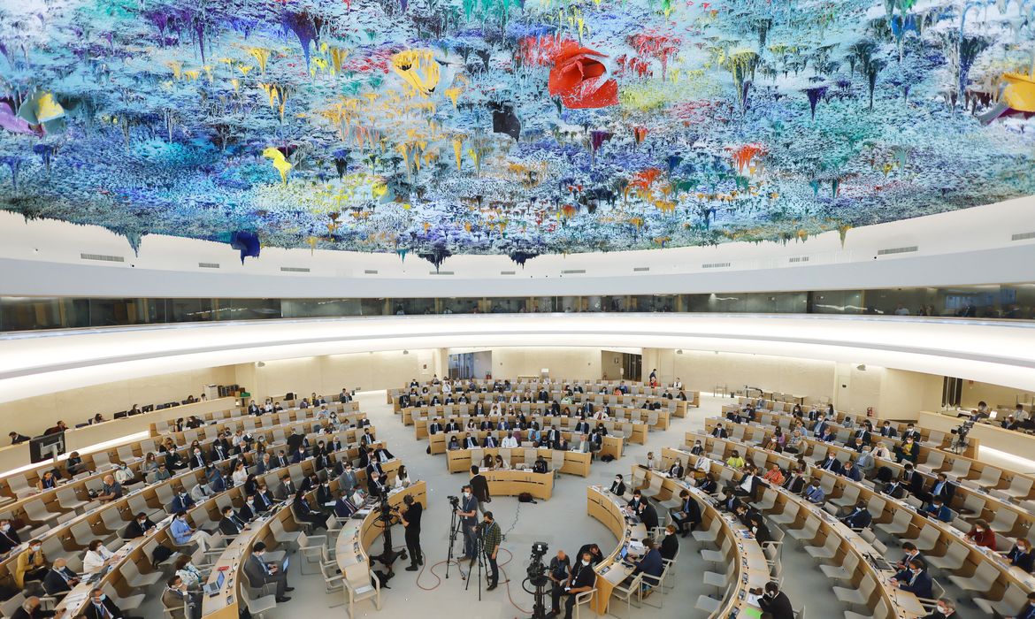 Conselho de Direitos Humanos da Organização das Nações Unidas (ONU)