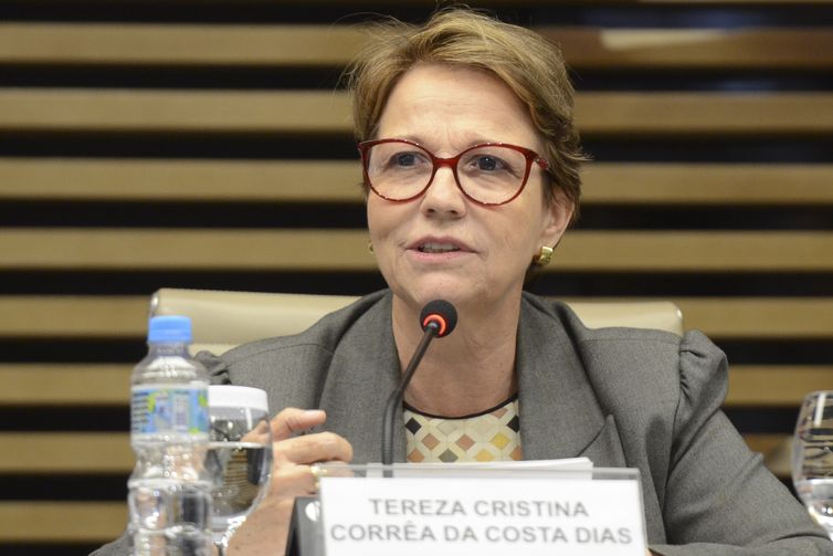 A ministra da Agricultura, Pecuária e Abastecimento, Tereza Cristina, participa de reunião do Conselho Superior do Agronegócio (Cosag), na Federação das Indústrias do Estado de São Paulo (Fiesp).