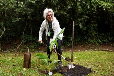 Rio de Janeiro (RJ), 05/06/2024 – A guia de turismo, Liana Siag planta árvore no Jardim Botânico do Rio de Janeiro, no Dia Mundial do Meio Ambiente. Foto: Tomaz Silva/Agência Brasil