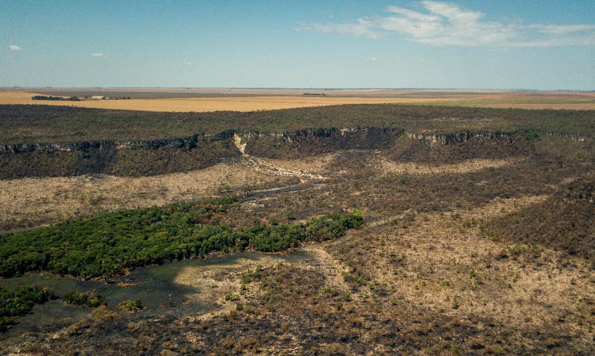 La deforestación en el Cerrado ha caído un 12,9% este año