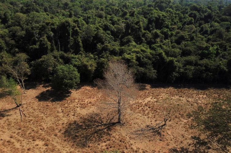 Desmatamento na fronteira entre o Cerrado e a Amazônia no Mato Grosso