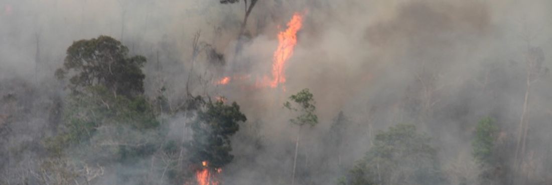 Incêndio na Terra Indígena Arariboia, no Maranhão