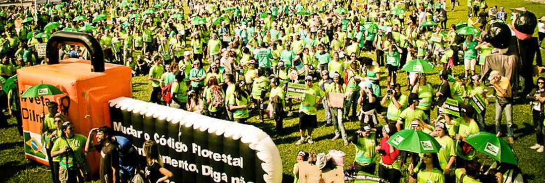 ONG propõe plataforma ambiental comum a candidatos eleitos