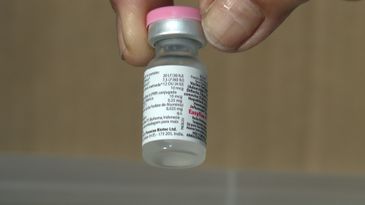 Caminhos da Reportagem - Vacinas são seguras e salvam vidas