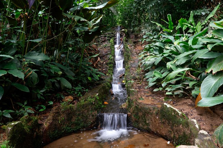 Rio de Janeiro (RJ), 21/03/2025 - O Jardim Botânico do Rio de Janeiro possui um dos sistemas de abastecimento e escoamento de água mais antigos do país. As canaletas, que conduzem as águas do Rio dos Macacos até áreas urbanas da cidade, datam dos anos 1820 e são usadas até os dias de hoje. Foto: Tânia Rêgo/Agência Brasil