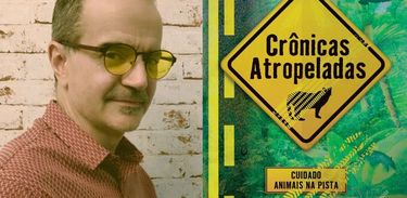 Livro "Crônicas Atropeladas", de Vangi Souza