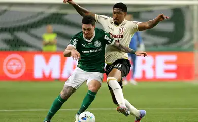 palmeiras, universitario, libertadores