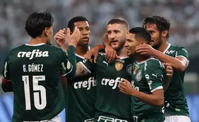 Zé Rafael, Palmeiras, Atlético-GO