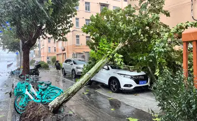 A fallen tree is seen on the streets amid heavy rainfall, after Typhoon Bebinca made landfall in Shanghai, China September 16, 2024. REUTERS/Xihao Jiang