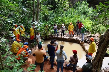 Produtores baianos recuperam primeira nascente de rio em São Desidério, no oeste da Bahia