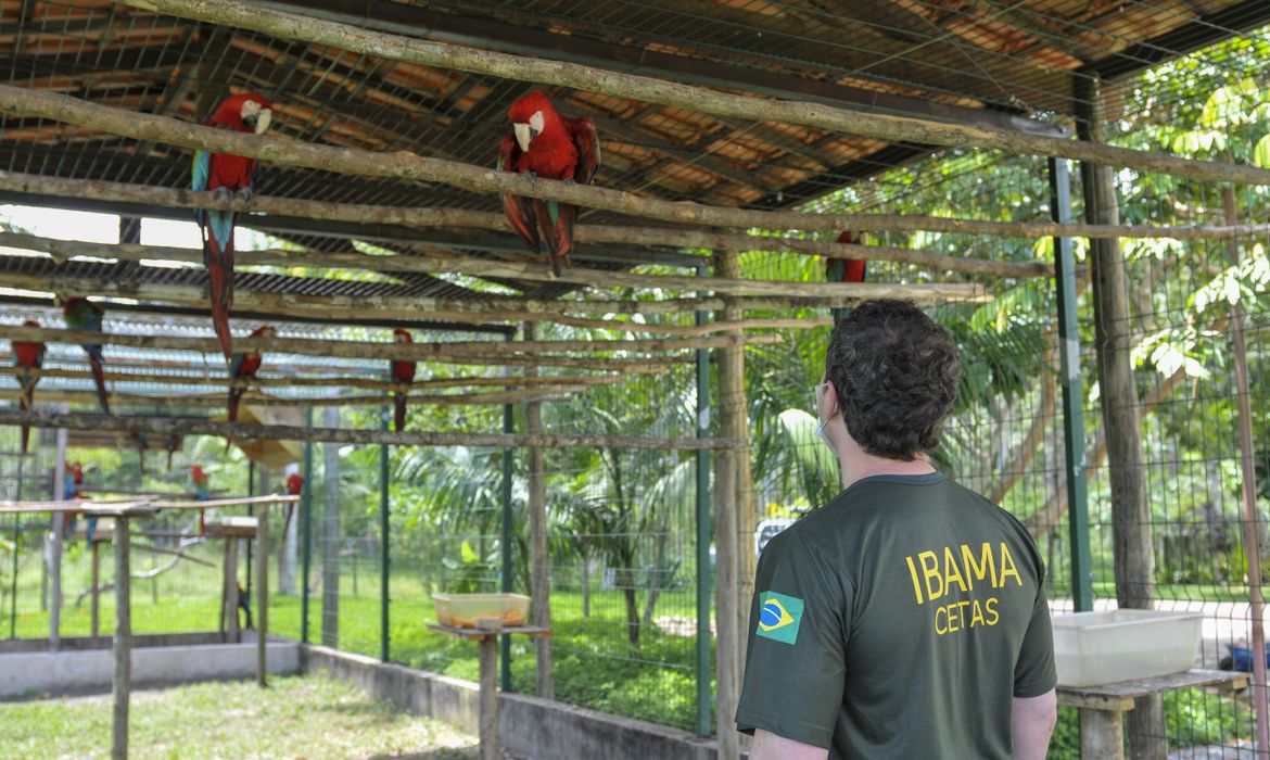 Ibama apura maus-tratos em centro de triagem de animais silvestres