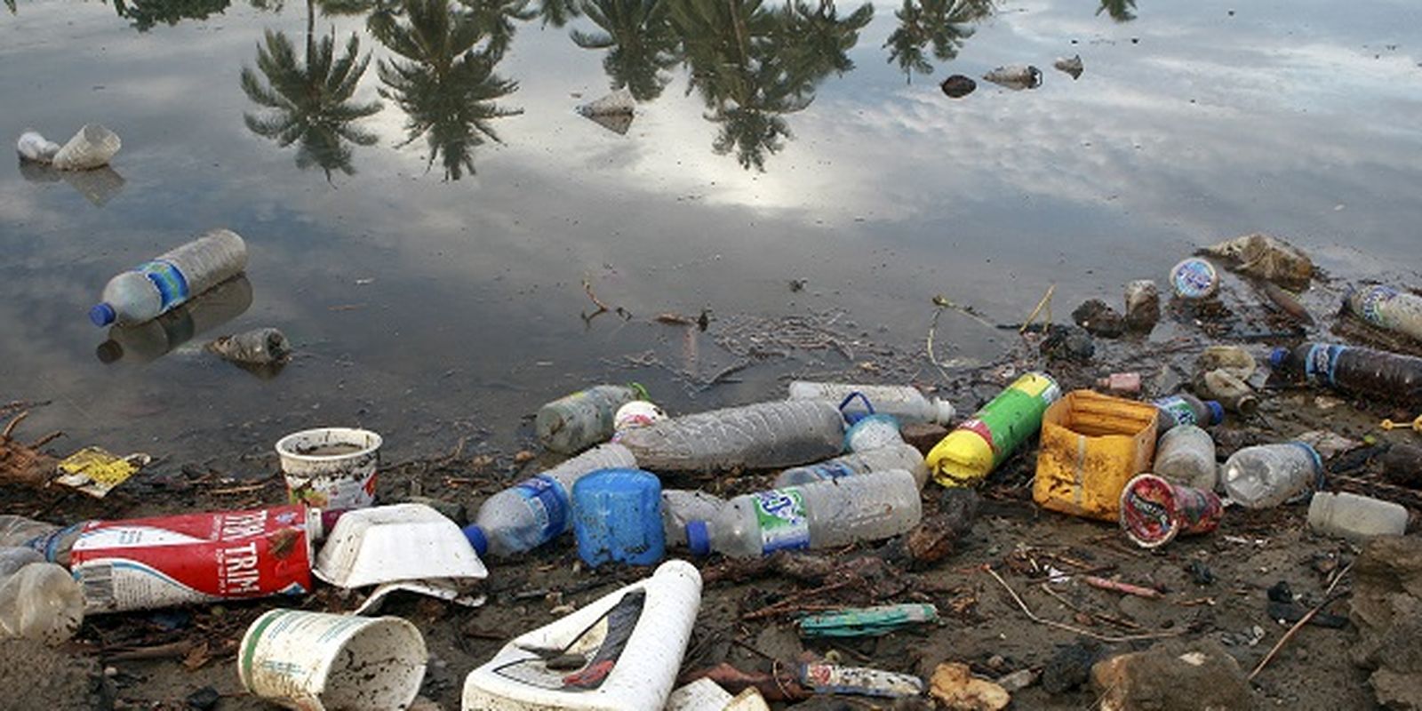 Plástico corresponde a 48,5% dos itens encontrados no mar do Brasil | Agência  Brasil