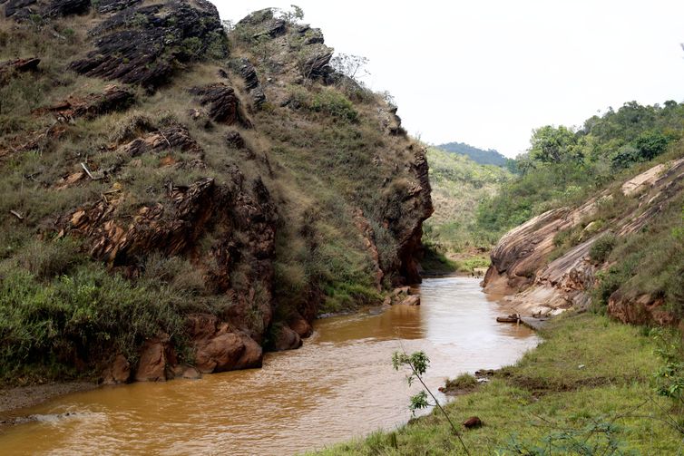  Experimento de restauração florestal em área sob influência de rejeitos da barragem de Fundão, trecho do rio Gualaxo do Norte, um dos principais afluentes do rio Doce, que abrange os municípios de Mariana, Ouro Preto e Barra Longa