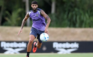 botafogo, treino