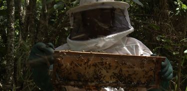 Programa visitou uma chácara com criação de abelhas