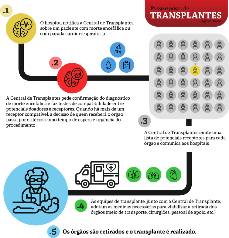Infográfico mostra o passo a passo para realização de transplantes no Brasil