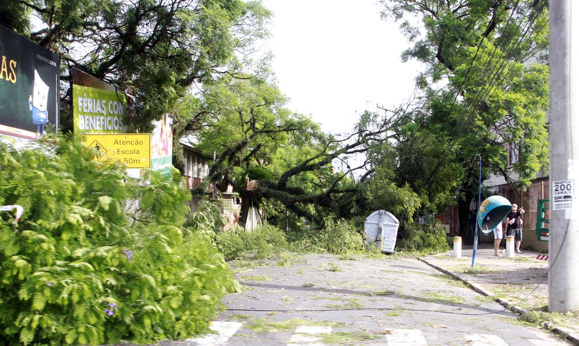 Temporal em Porto Alegre derruba árvores e deixa mais de 300 mil residências sem luz