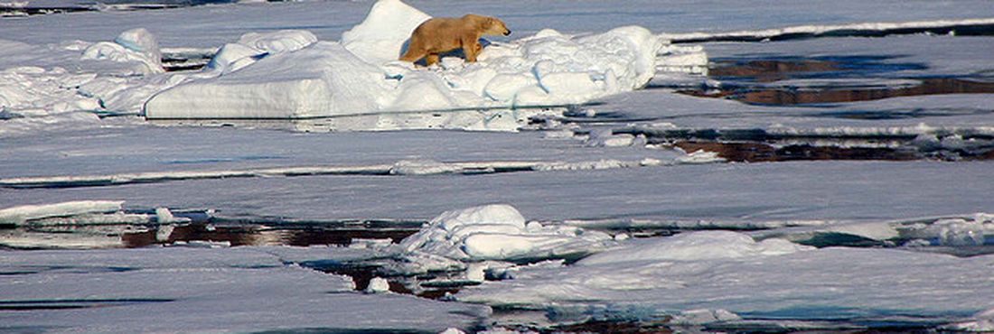 Novo recorde sugere que o Ártico tenha entrado em uma nova era climática